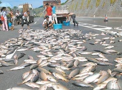 空中降魚(yú)視頻 揭秘罕見(jiàn)空中降魚(yú)現象原理，末日預兆恐怖的空中降魚(yú)實(shí)圖