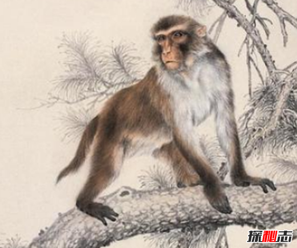 親身經(jīng)歷!安徽農村真實(shí)靈異事件,夜晚鬼請醫為無(wú)上顎兒看病