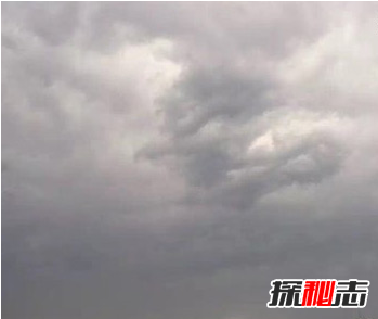 飛機上拍到真龍，真龍現身征兆著(zhù)什么?