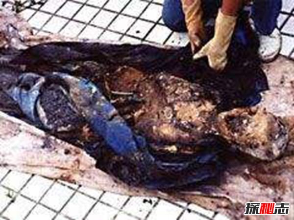 鄧麗君尸變的真實(shí)事情,蔭尸詛咒導致兩兄弟先后死亡