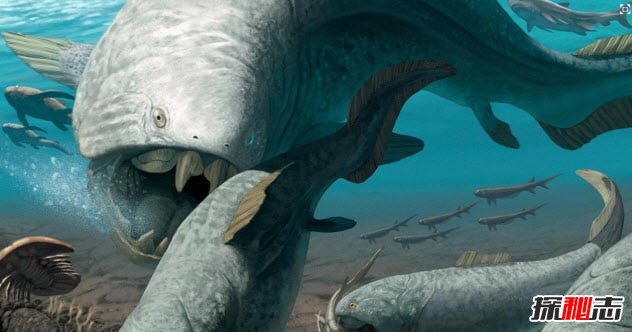 鄧氏魚(yú)怎么滅亡的?遠古海洋霸主鄧氏魚(yú)的十大真相