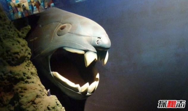 鄧氏魚(yú)怎么滅亡的?遠古海洋霸主鄧氏魚(yú)的十大真相