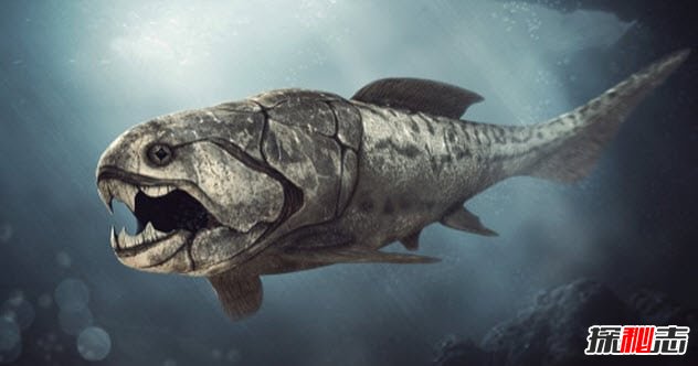 鄧氏魚(yú)怎么滅亡的?遠古海洋霸主鄧氏魚(yú)的十大真相