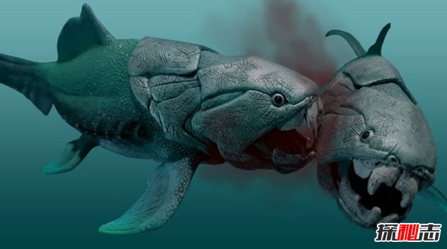 鄧氏魚(yú)怎么滅亡的?遠古海洋霸主鄧氏魚(yú)的十大真相