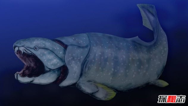 鄧氏魚(yú)怎么滅亡的?遠古海洋霸主鄧氏魚(yú)的十大真相