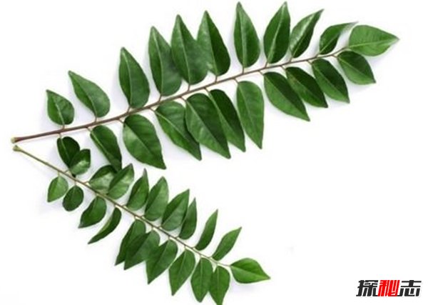 古代人怎么做美容?古代美容養顏10大秘方(意想不到)