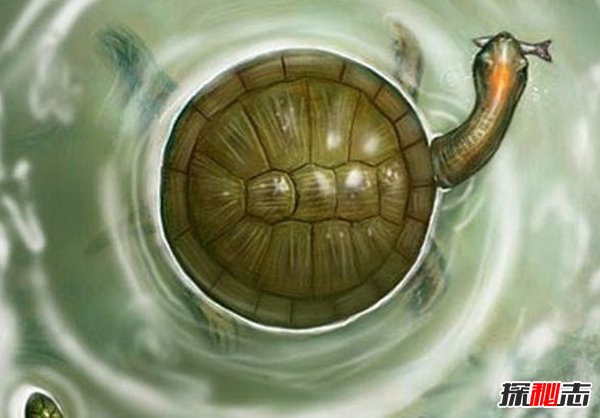 古代十大恐怖嚇人的動(dòng)物 幸好都已經(jīng)滅絕了(忐忑不安)