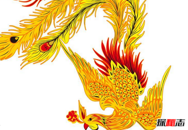 古代五鳳指的是什么?傳說(shuō)中的五鳳圖片(鸑鷟身為黑或紫色的鳳凰)