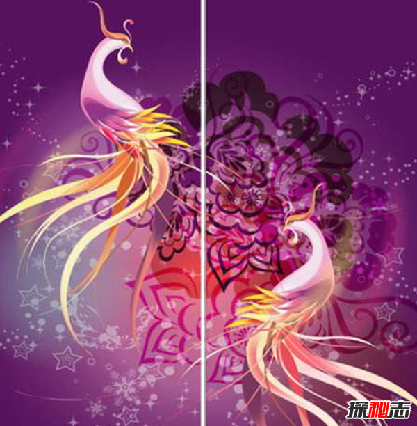 古代五鳳指的是什么?傳說(shuō)中的五鳳圖片(鸑鷟身為黑或紫色的鳳凰)